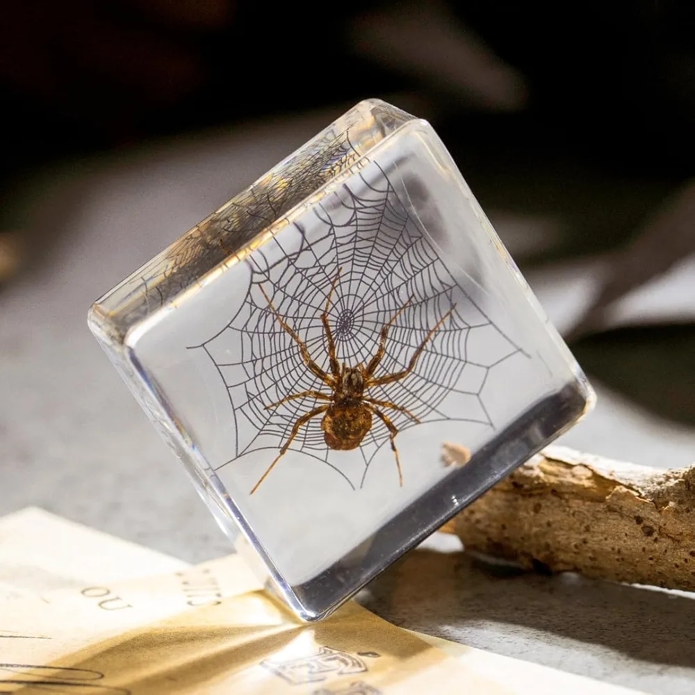 Spider in Resin Paperweight